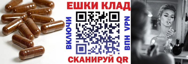 KRAKEN зеркало  Правдинск  ЭКСТАЗИ 300 mg  продажа наркотиков 
