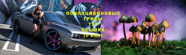 тгк Абдулино