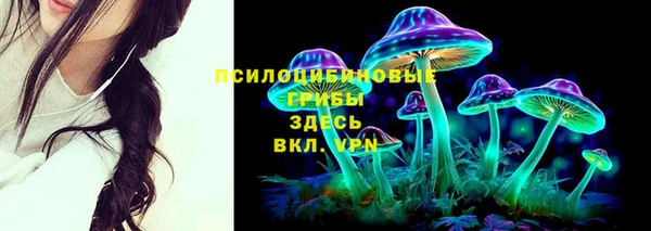 тгк Абдулино