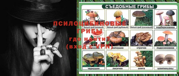 стафф Абаза