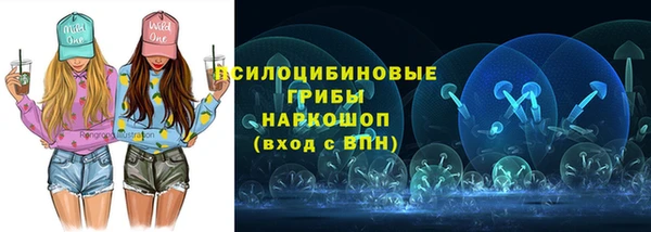 гидра Краснотурьинск