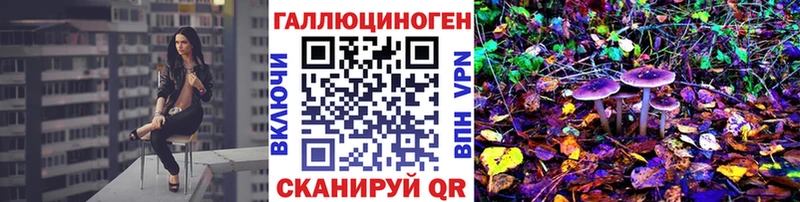 Галлюциногенные грибы GOLDEN TEACHER  купить наркоту  Правдинск 